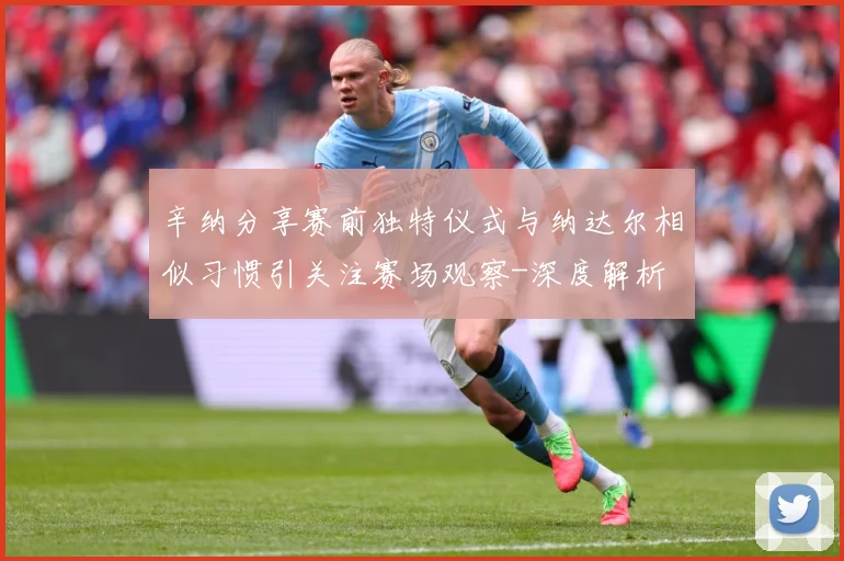 辛纳分享赛前独特仪式与纳达尔相似习惯引关注赛场观察-深度解析