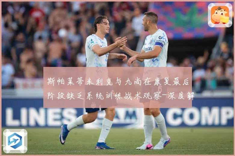 斯帕莱蒂米利克与九尚在康复最后阶段缺乏系统训练战术观察-深度解析