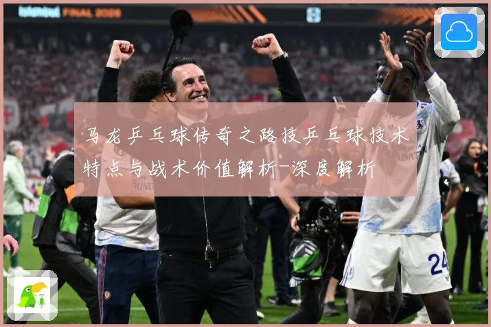 马龙乒乓球传奇之路技乒乓球技术特点与战术价值解析-深度解析
